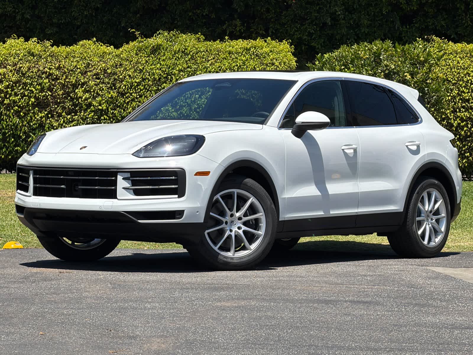 2026 Porsche Cayenne Cayenne